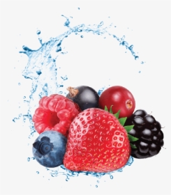 Red Fruits - Capella Harvest Berry, HD Png Download, Transparent PNG