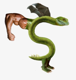 Transparent Trogdor Png - Trogdor Hd, Png Download, Transparent PNG