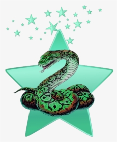 #mq #green #snake #stars #star #animal - Snake Png, Transparent Png, Transparent PNG