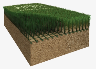 Hybrid Grass, HD Png Download, Transparent PNG