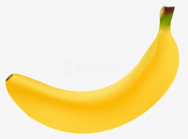 Saba-banana - Huge Bananas Transparent Background, HD Png Download, Transparent PNG