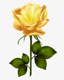 Long Stem Yellow Rose Png - Yellow Rose With Stem, Transparent Png, Transparent PNG