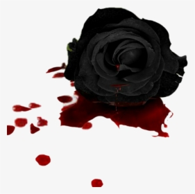 #flower #flowers #rose #black #blood - Black Rose With Blood, HD Png Download, Transparent PNG