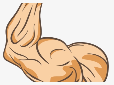 Muscle Arms Png, Transparent Png, Transparent PNG
