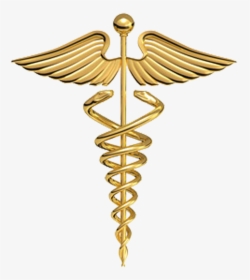 Physician Gold Plate Of Symbol Medicine Hermes Clipart - Medical Symbol, HD Png Download, Transparent PNG