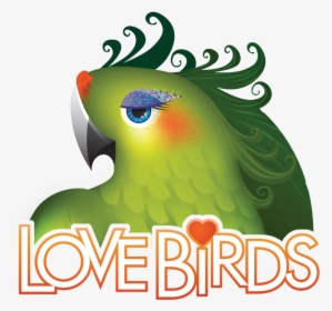 Lovebird Design On T Shirts, HD Png Download, Transparent PNG