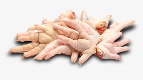 Transparent Pollo Png - Chicken Feet Food Raw, Png Download, Transparent PNG