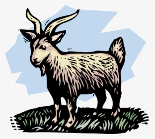 Vector Illustration Of Farm Scene Livestock Billy Goat - Animals In Proverbs 30, HD Png Download, Transparent PNG