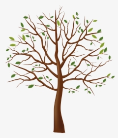 Tree Drawing Png - Tree Clipart Transparent Background, Png Download, Transparent PNG