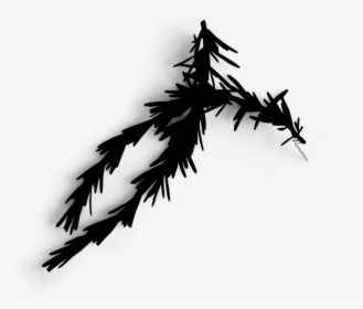 Transparent Tree Clipart Black And White No Leaves - White Pine, HD Png Download, Transparent PNG