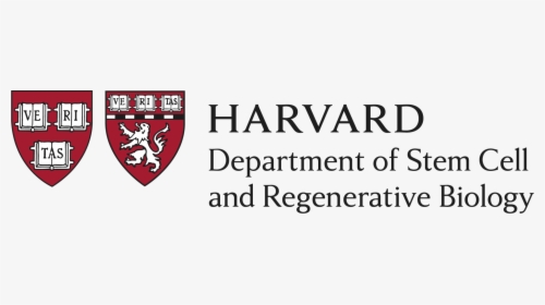 Harvard Department Of Stem Cell And Regenerative Biology, HD Png Download, Transparent PNG