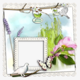 Floral Photo Studio Frame, HD Png Download, Transparent PNG