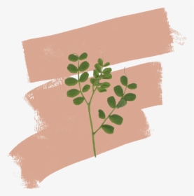 #plants #tumblr #text - Paper, HD Png Download, Transparent PNG