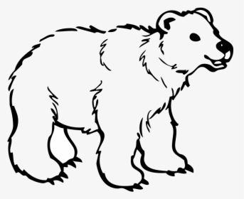 Polar Bear American Black Bear Brown Bear Drawing - Bear Clipart Black And White Outline, HD Png Download, Transparent PNG