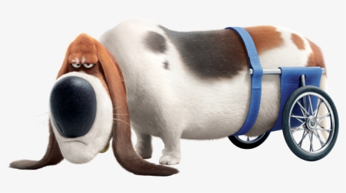 List Of Secret Life Of Pets Characters, HD Png Download, Transparent PNG