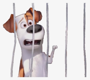 Transparent Dog Cage Png - Secret Life Of Pets Dog Pound, Png Download, Transparent PNG