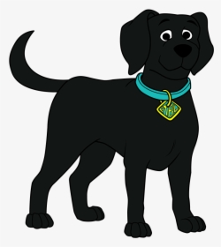Dog Catches Something, HD Png Download, Transparent PNG