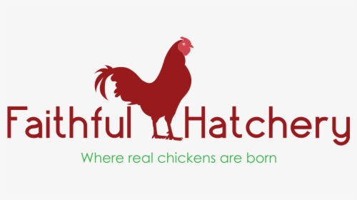 Clip Art Minecraft Hatchery Rooster - Rooster, HD Png Download, Transparent PNG