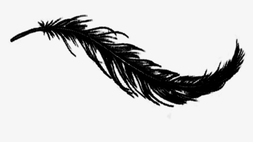 Songwriting Escape Feather Black - Transparent Background Black Feather Png, Png Download, Transparent PNG