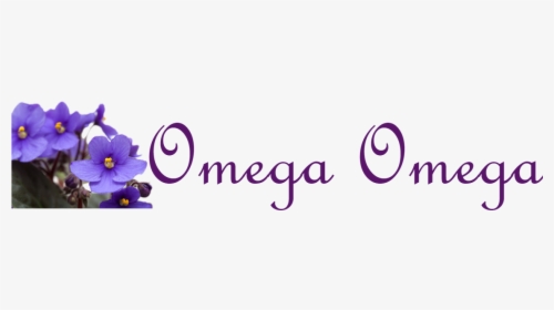 Picture - Delta Sigma Theta Omega Omega, HD Png Download, Transparent PNG