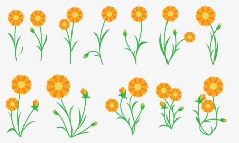 Calendula Vector De La Planta Descargue Gr225ficos - Calendula Vector, HD Png Download, Transparent PNG