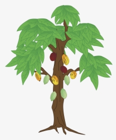 Seedling Clipart Unhealthy Plant - Cocoa Plant Animation, HD Png Download, Transparent PNG