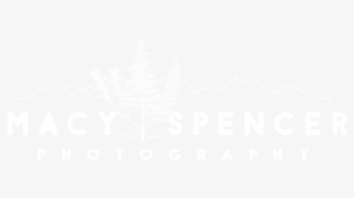 Monochrome, HD Png Download, Transparent PNG