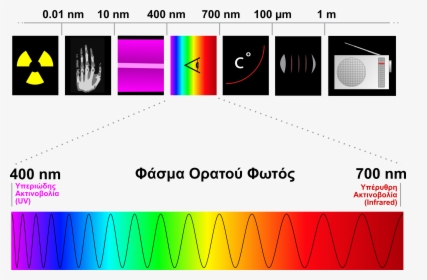 Spectre Visible Light El - Infrared Waves In Electromagnetic Spectrum, HD Png Download, Transparent PNG