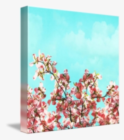 Pink Dogwood Canvas, HD Png Download, Transparent PNG