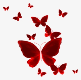 Transparent Red Butterfly Png - Red Butterfly Png Hd, Png Download, Transparent PNG