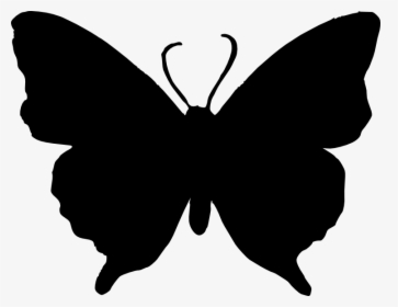 Transparent Black Butterfly Png, Png Download, Transparent PNG