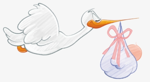 Art,shoe,duck - Stork Carrying Baby Girl Png, Transparent Png , Transparent  Png Image - PNGitem