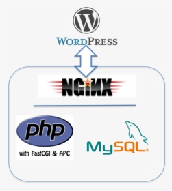 Php Mysql Apache, HD Png Download, Transparent PNG