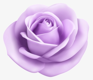 Rose,petal,garden Tea Rose,lilac,plant,rose Order,flowering, HD Png Download, Transparent PNG