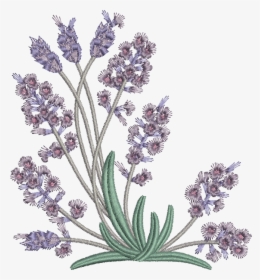 Embroidery Pattern Lavender Flowers , Png Download - Flower Embroidery Designs Lavender, Transparent Png, Transparent PNG
