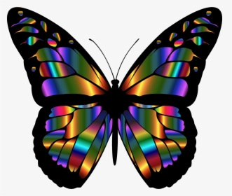 Monarch Butterfly Emrald Png - Colorful Butterfly Wings, Transparent Png, Transparent PNG