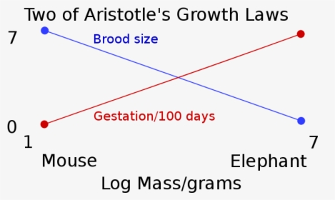 Two Of Aristotle S Growth Laws - Aristotle Experiment, HD Png Download, Transparent PNG