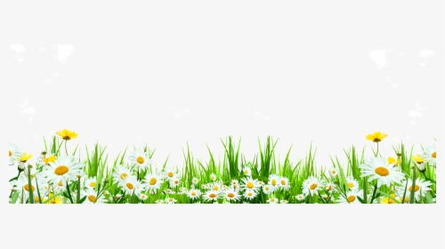 Svg Library Flower Download Icon Cute Flowers Roadside - Flowers Weeds Png, Transparent Png, Transparent PNG