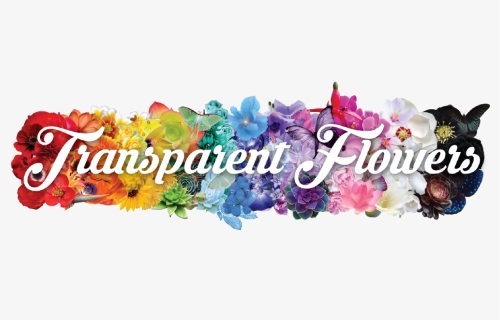 Banner Transparent Bouquet Transparent Flower Tumblr - Png Flowers Row, Png Download, Transparent PNG