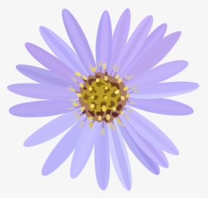 Aster Flower Banner - Asters Flower Clipart, HD Png Download, Transparent PNG