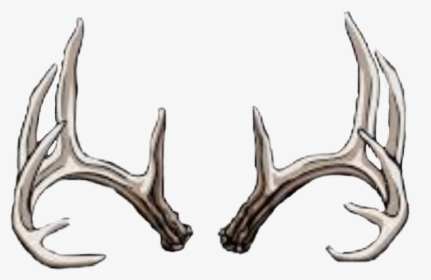 Transparent Deer Rack Png - Deer Skull Line Art, Png Download, Transparent PNG