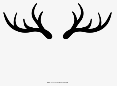 Deer Horns Coloring Page - Horn, HD Png Download, Transparent PNG