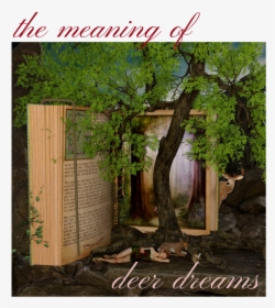 Quotes Reading Books In A Tree, HD Png Download, Transparent PNG