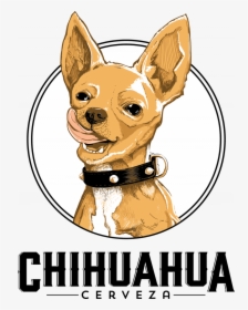 Chihuahua Limon, HD Png Download, Transparent PNG