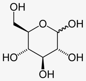 D Glucose 2d Skeletal Hexagon - 4 Methyl 1 Pentyne, HD Png Download, Transparent PNG
