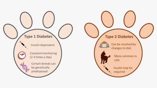 Type 1 Vs Type 2 Diabetes In Pets - Diabetes In Pets, HD Png Download, Transparent PNG