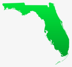 Clip Art Florida State Image - Florida State, HD Png Download, Transparent PNG