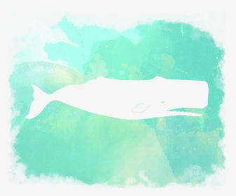 Beluga Whale, HD Png Download, Transparent PNG