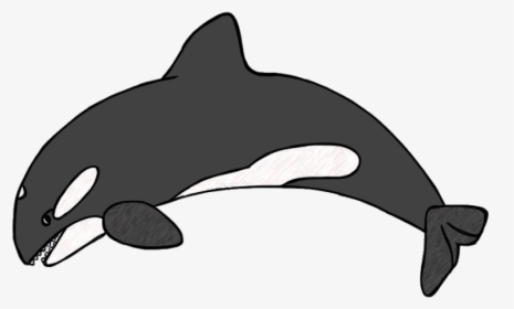 Killer Whale Drawing For Kids - Orca Clipart, HD Png Download, Transparent PNG