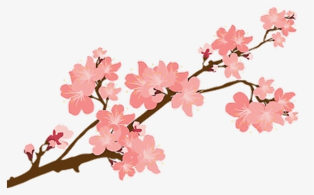 #sakura #sakuras #flower #flowers #cherry #cherryblossoms - Japanese Cherry Blossom Png, Transparent Png, Transparent PNG